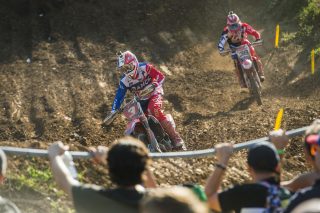 Paulin and Bobryshev at the Nations